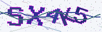 Security code – characters in the image